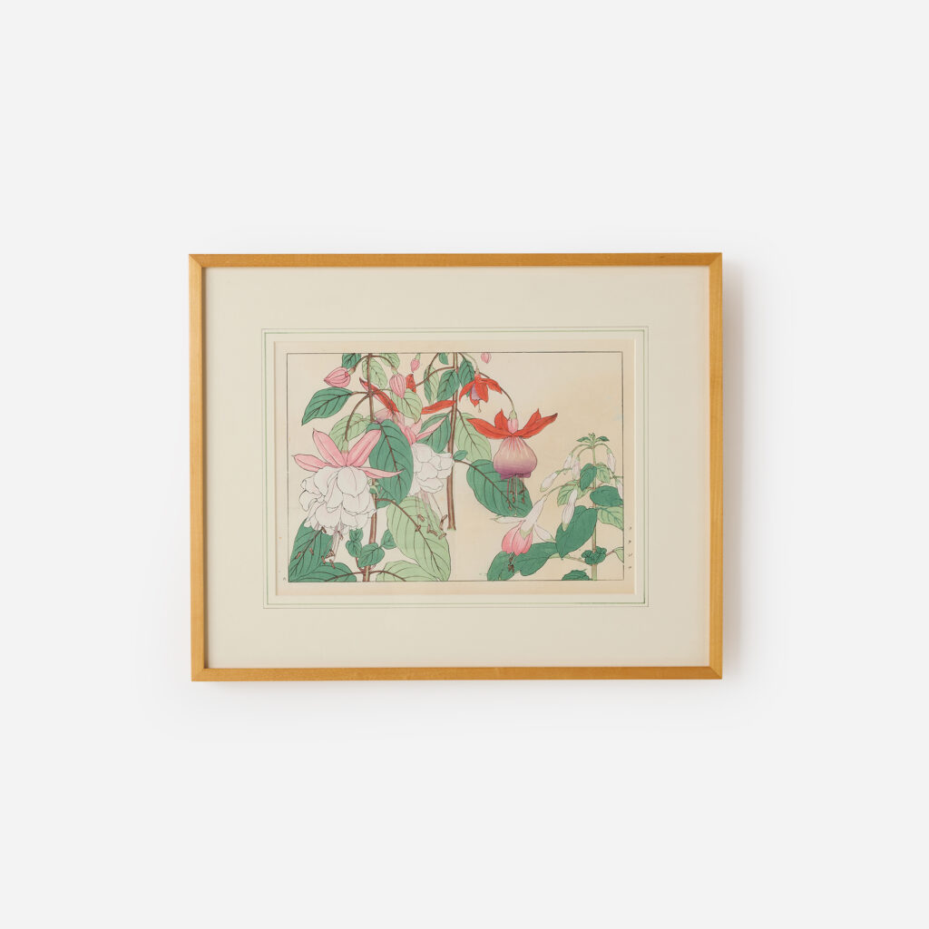 Fuchsia Woodblock Print by Tanigami Kōnan
