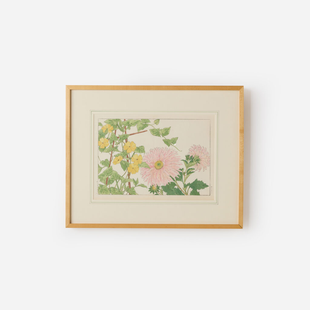 Thunbergia and Chrysanthemum Woodblock Print by Tanigami Kōnan