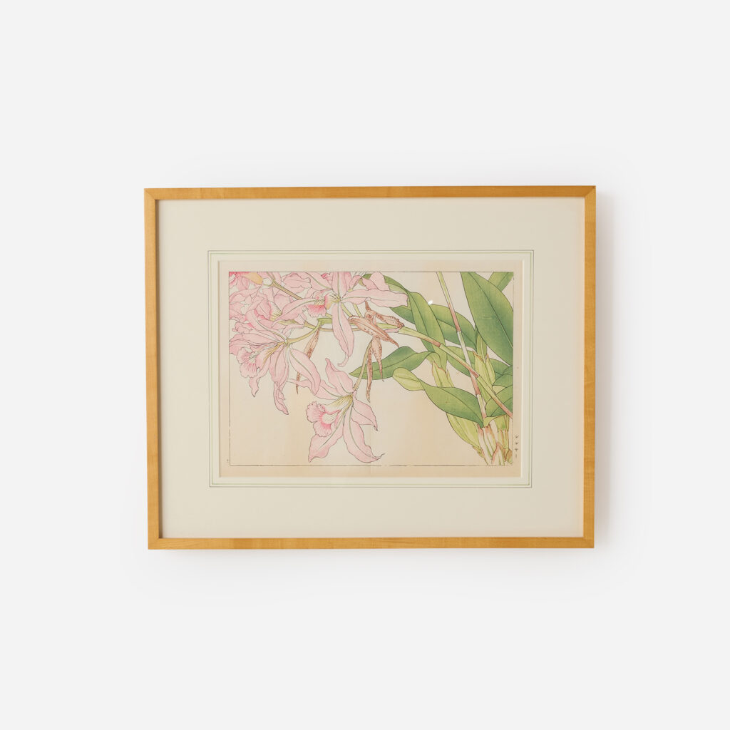 Cattleya Orchid Woodblock Print by Tanigami Kōnan