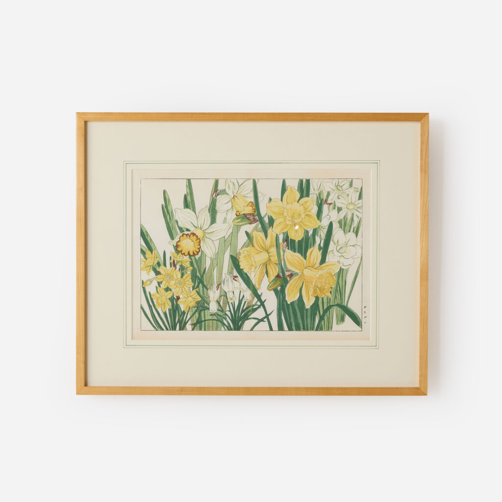 Narcissus Woodblock Print by Tanigami Kōnan