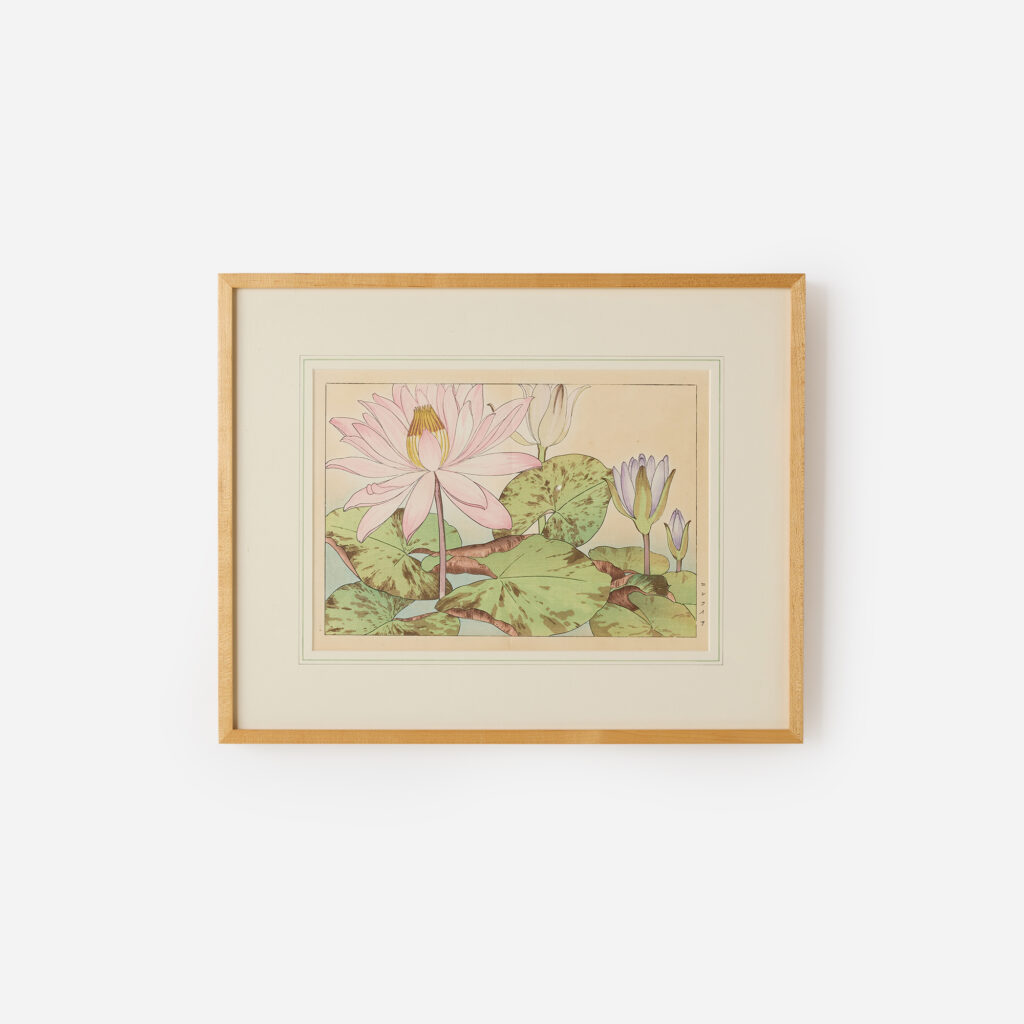 Water Lily Woodblock Print by Tanigami Kōnan