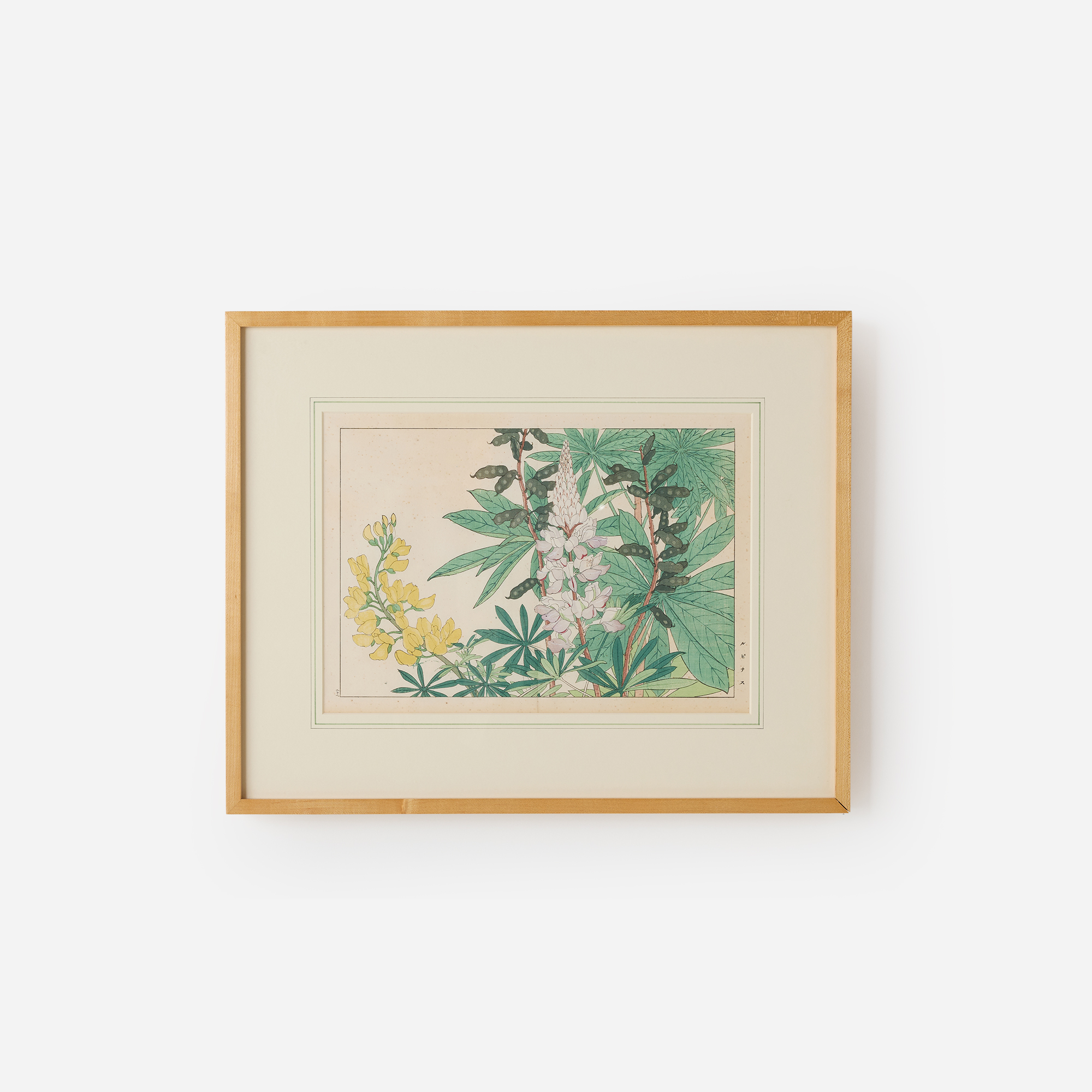 Lupine Woodblock Print by Tanigami Kōnan