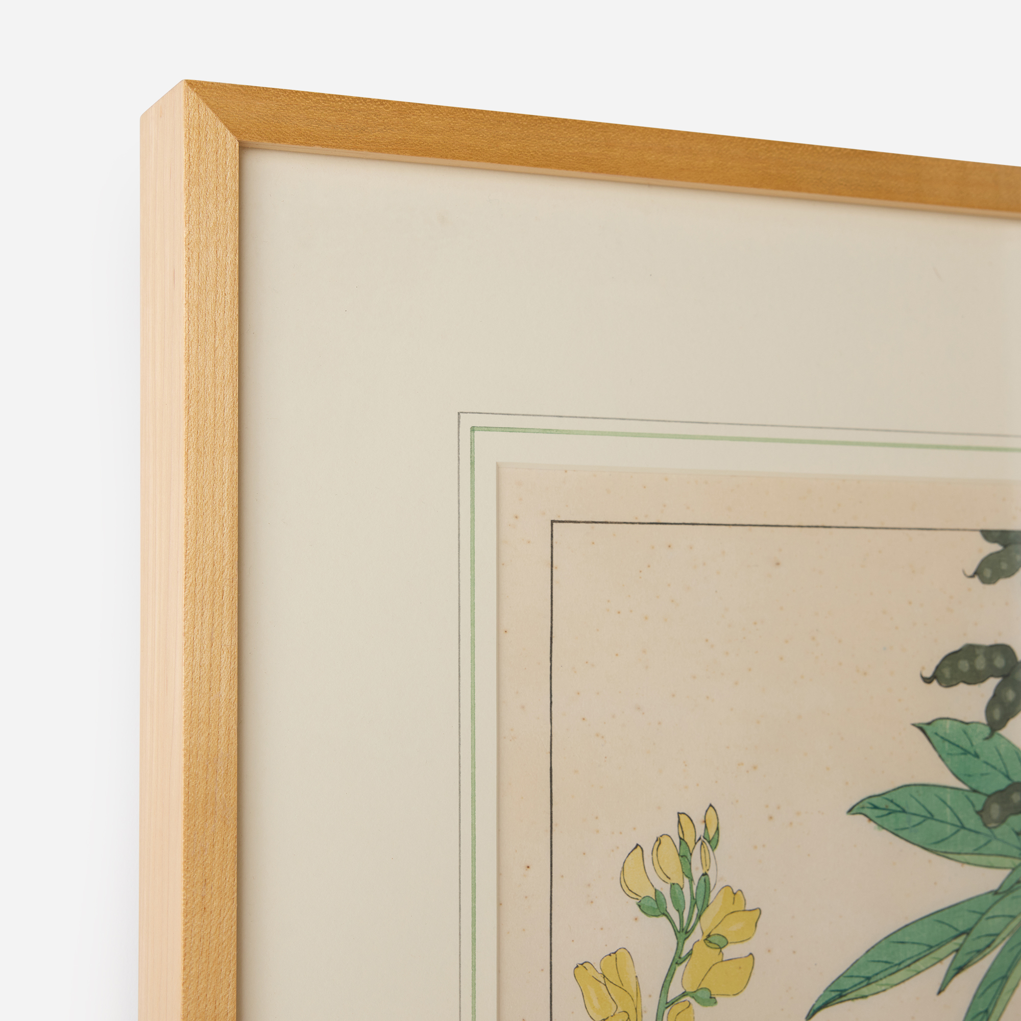 Lupine Woodblock Print by Tanigami Kōnan - Image 6