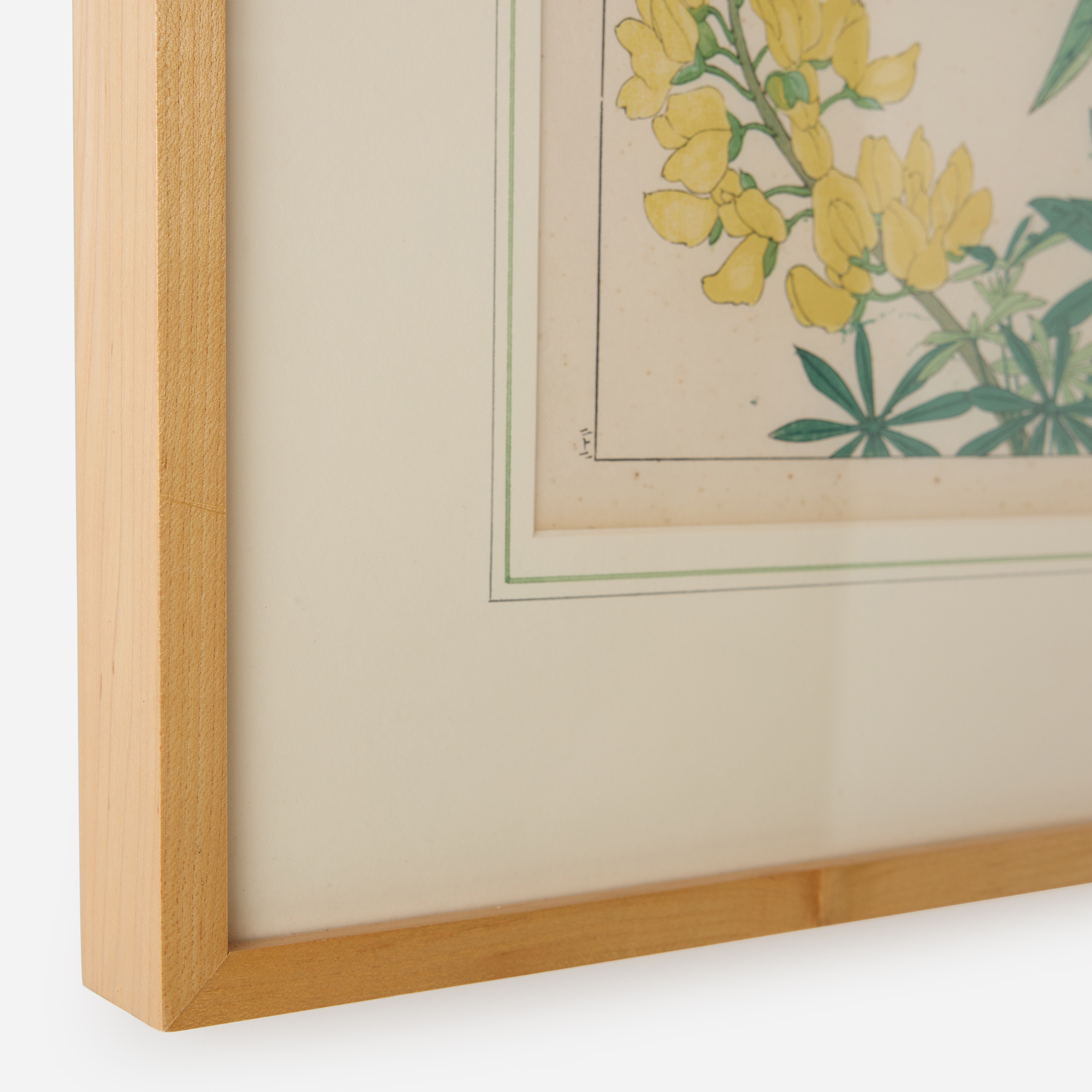 Lupine Woodblock Print by Tanigami Kōnan - Image 7