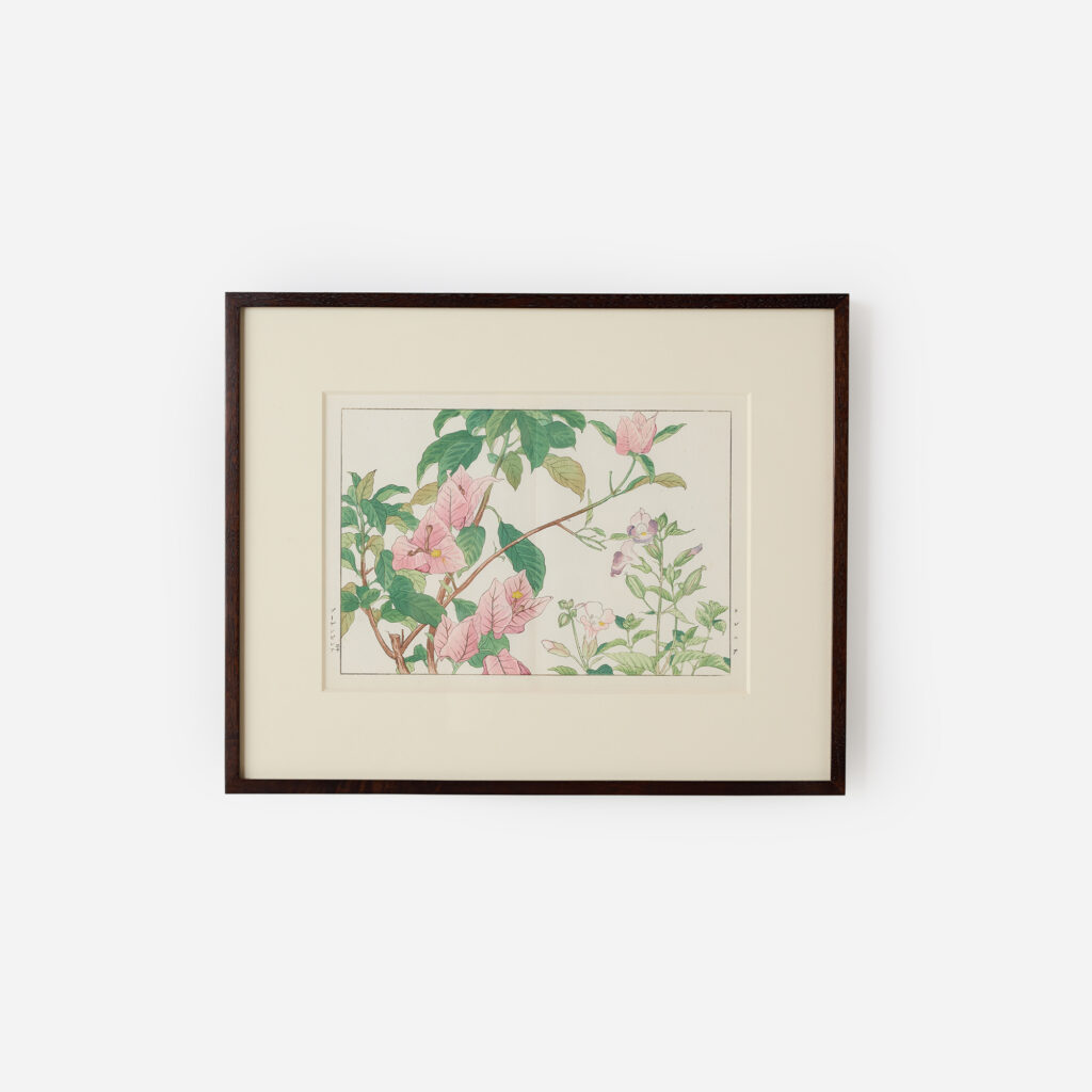 Bougainvillea Woodblock Print by Tanigami Kōnan