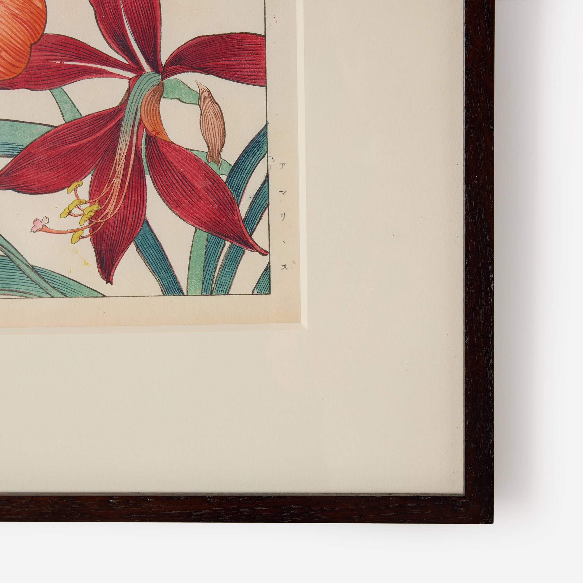 Amaryllis Woodblock Print by Tanigami Kōnan - Image 3