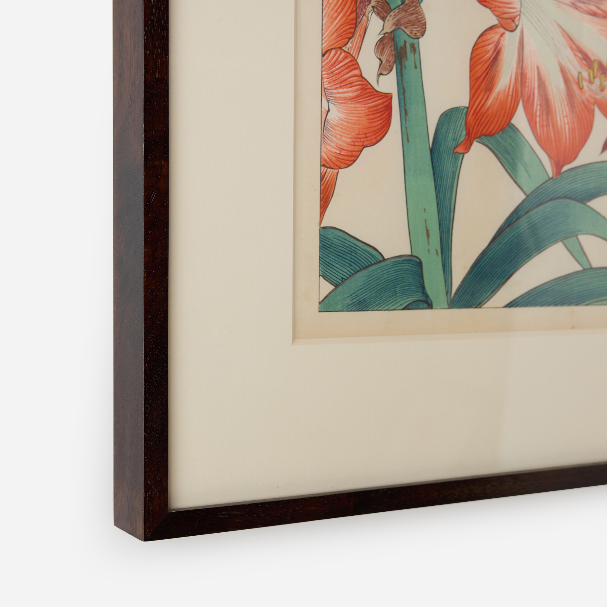 Amaryllis Woodblock Print by Tanigami Kōnan - Image 5