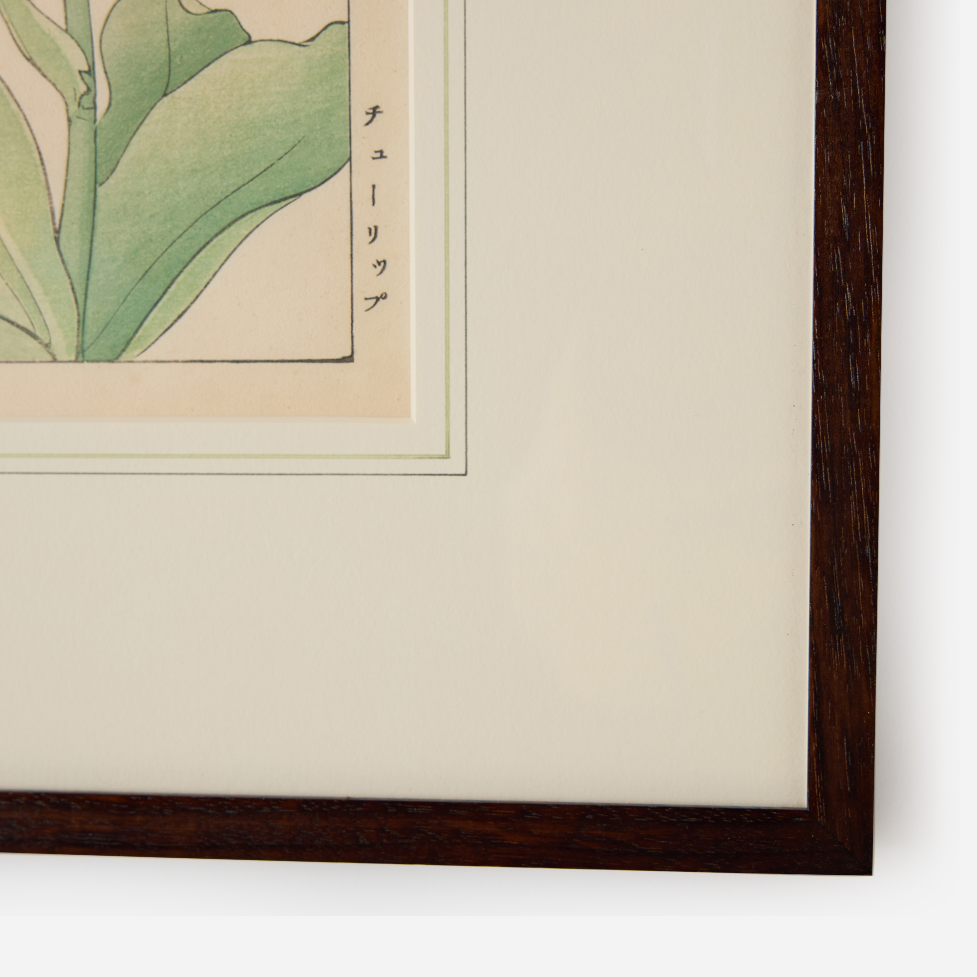 Parrot Tulip Woodblock Print by Tanigami Kōnan - Image 3