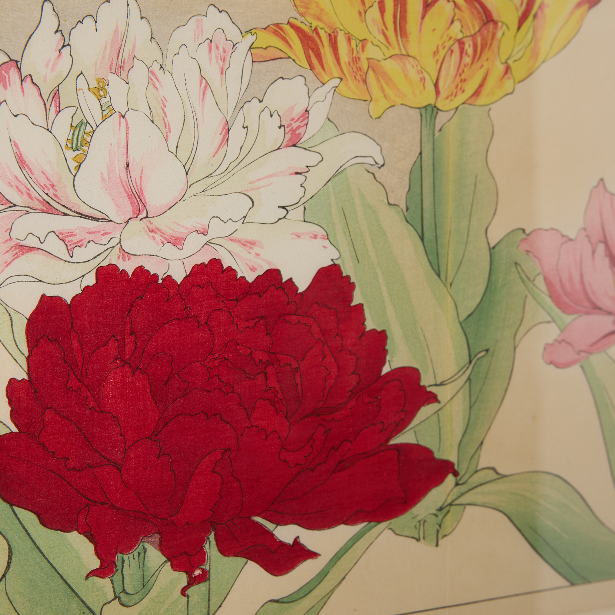 Parrot Tulip Woodblock Print by Tanigami Kōnan - Image 4