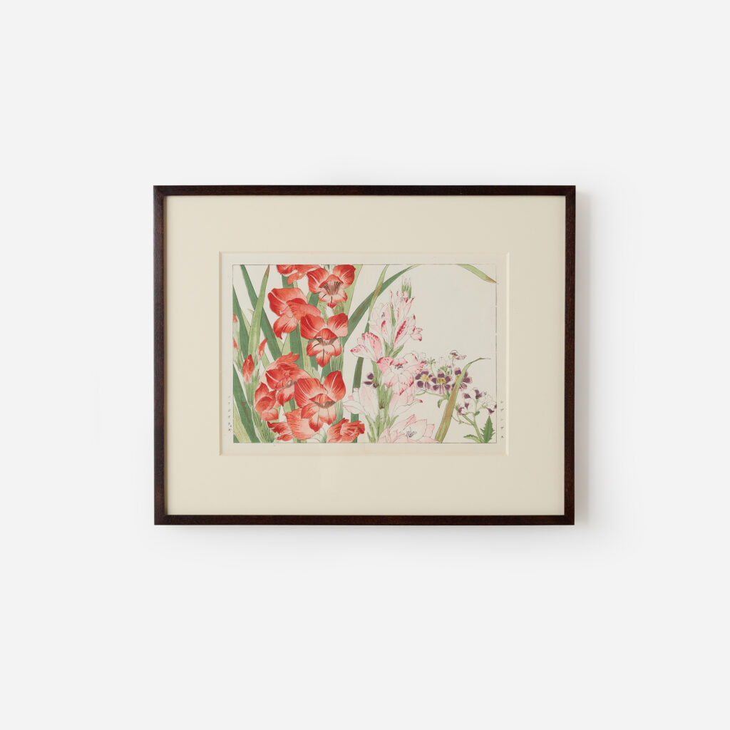 Gladiolus Woodblock Print by Tanigami Kōnan