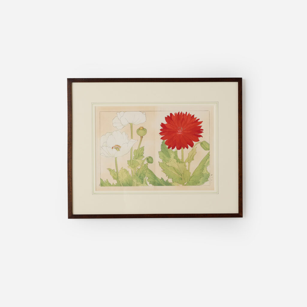 Poppy & Dahlia Woodblock Print by Tanigami Kōnan